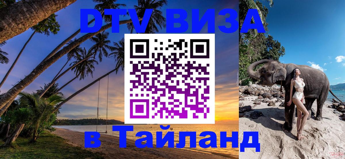 Сколько стоит DTV виза — актуальные цены, оформление даже без документов - Амстердам 
